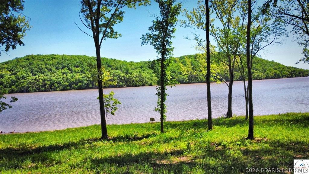 This is a hard one to find, so don't wait! 27+/- acres of UNRESTRICTED WATERFRONT ground!!! With 200 feet of waterfront andmultiple build sites, the options are limitless for you to make this dream property your own. Electric on property so it's ready for you tostart building or to set your camper on and enjoy the lake. The land is ready for you to explore throughout on your sxs or by foot. Set adock out in good water inside Big Buffalo cove and make this the perfect getaway! VERY quiet area!