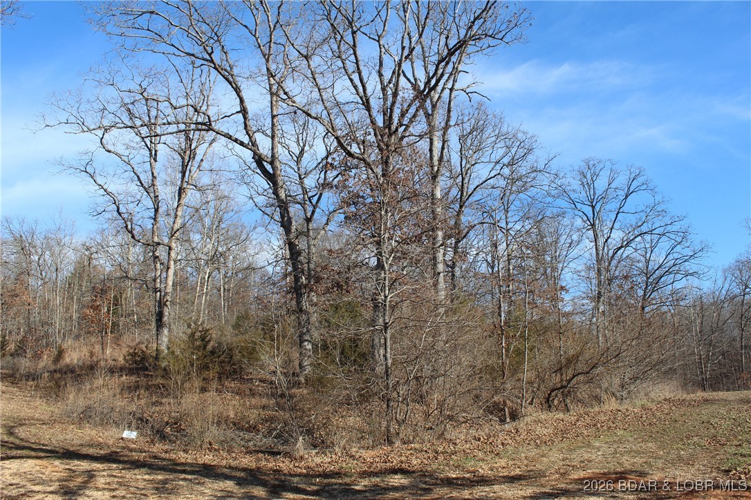 Woodhaven Estates - Land