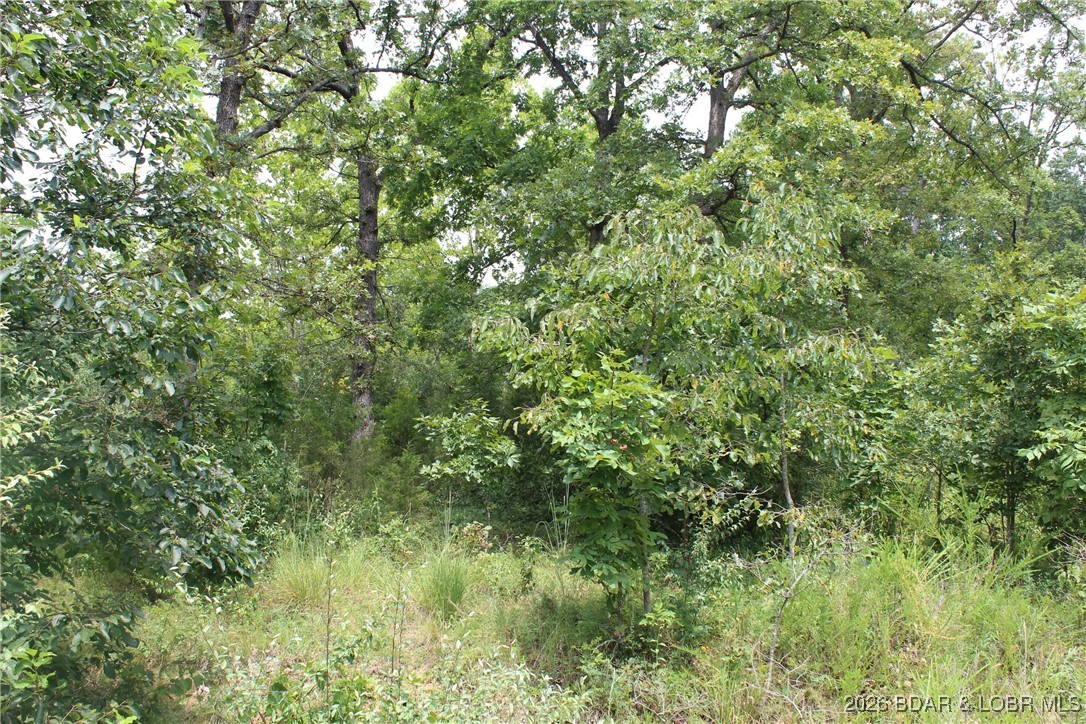 Woodhaven Estates - Land