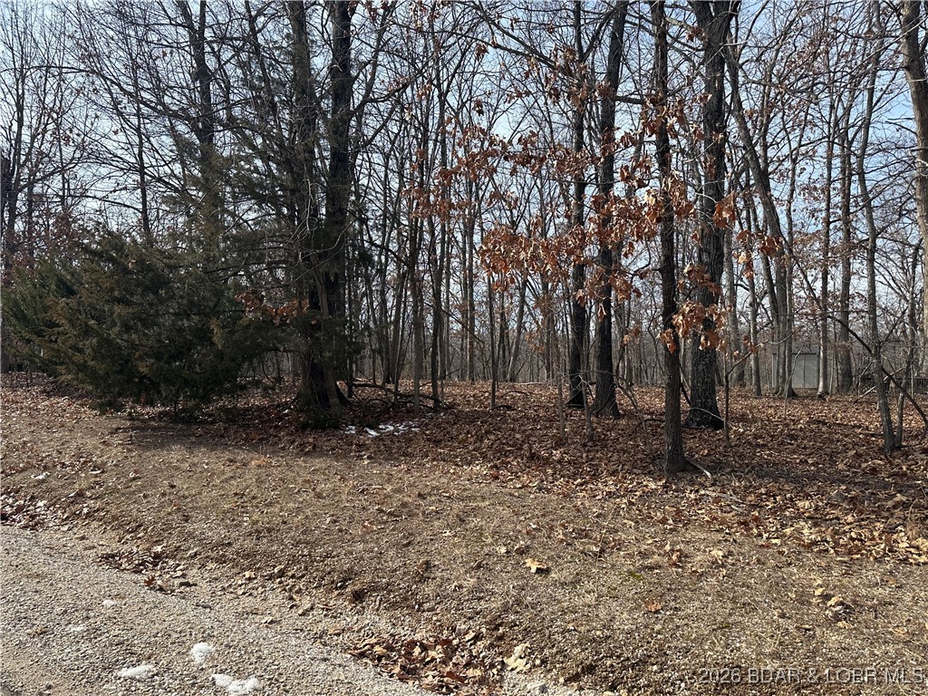Four Seasons - Land