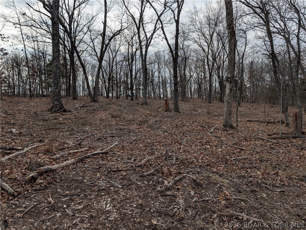 None - Land