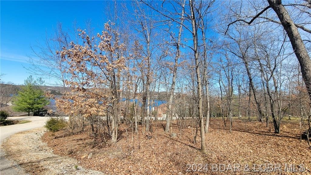 **Prime Residential Lot in Porto Cima – Lake of the Ozarks** **Lot 504 Grandview Drive | 0.37 Acres | Stunning Lake Views** Discover the perfect setting for your dream home in the prestigious **Porto Cima** community. Nestled in **Missouri’s premier golf and lakefront development**, this **spacious 0.37-acre lot** offers breathtaking lake views and exclusive amenities in a serene, upscale neighborhood. #### **Property Highlights:** **Size:** 0.37 acres – ideal for a custom-built home **Location:** Exclusive Porto Cima subdivision, Lake of the Ozarks **Scenic Views:** Stunning lake views with picturesque surroundings #### **Luxury Amenities Include:** **Porto Cima Yacht Club & Marina** – Enjoy world-class boating access **Jack Nicklaus Signature Golf Course** – A golfer’s paradise **Private Pools, Tennis Courts & Fitness Center** – Resort-style living **Community Docks** – Convenient access for all your boating needs This is your chance to **own a piece of paradise** in one of the most sought-after locations at the Lake of the Ozarks! Contact me today for more details!