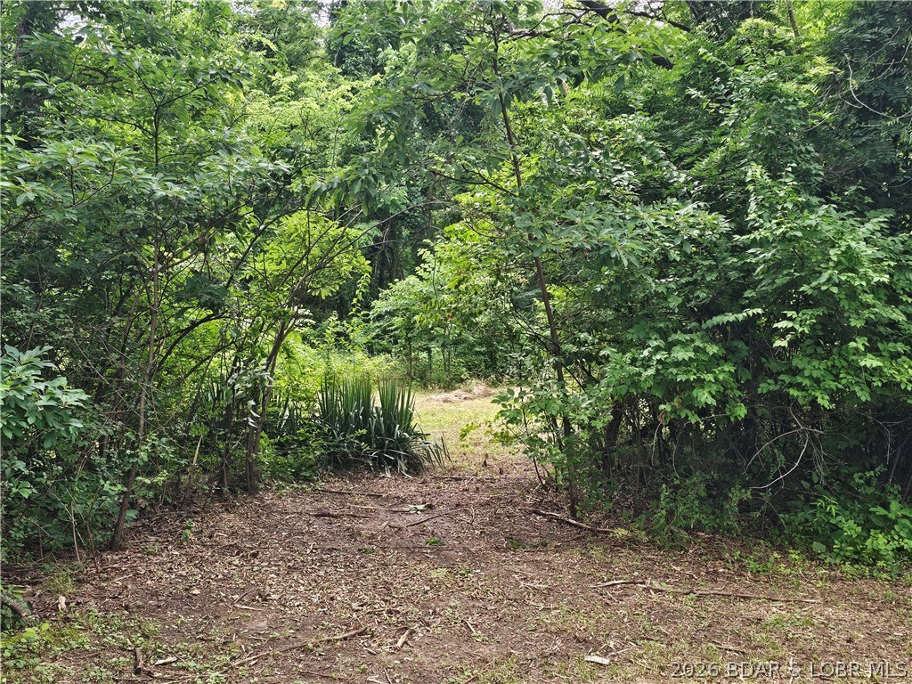 None - Land