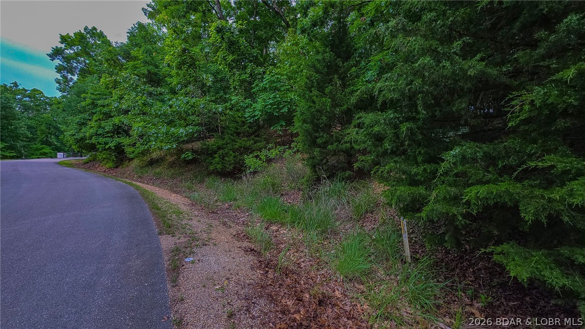 Embrace the elevation and build your dream lake-view retreat on this exceptional property, beautifully situated on Grand View Drive in Sunrise Beach! This unique lot offers a seasonal view and a topography that works entirely to your advantage. While the initial approach features a steep incline, scaling the hill rewards you with a beautifully leveled, buildable ridge. This elevated vantage point provides a spectacular benefit, allowing your future home to look right over the lakefront properties below for a much broader, commanding view of the Lake of the Ozarks. The local POA requires a minimum of 1,200 square feet or a home equivalent to the quality of the surrounding neighborhood, ensuring your investment is well-protected. Best of all, ownership grants you access to an incredible suite of community perks, including dedicated lake access, community pools, an exercise room, playgrounds, and full access to the highly coveted Four Seasons amenities.