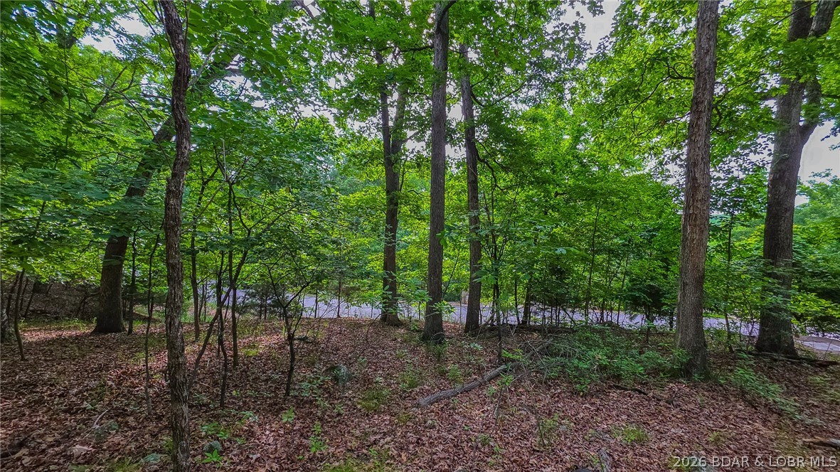 Eagles Cove - Land