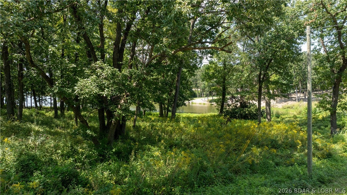 Out of Area - Land