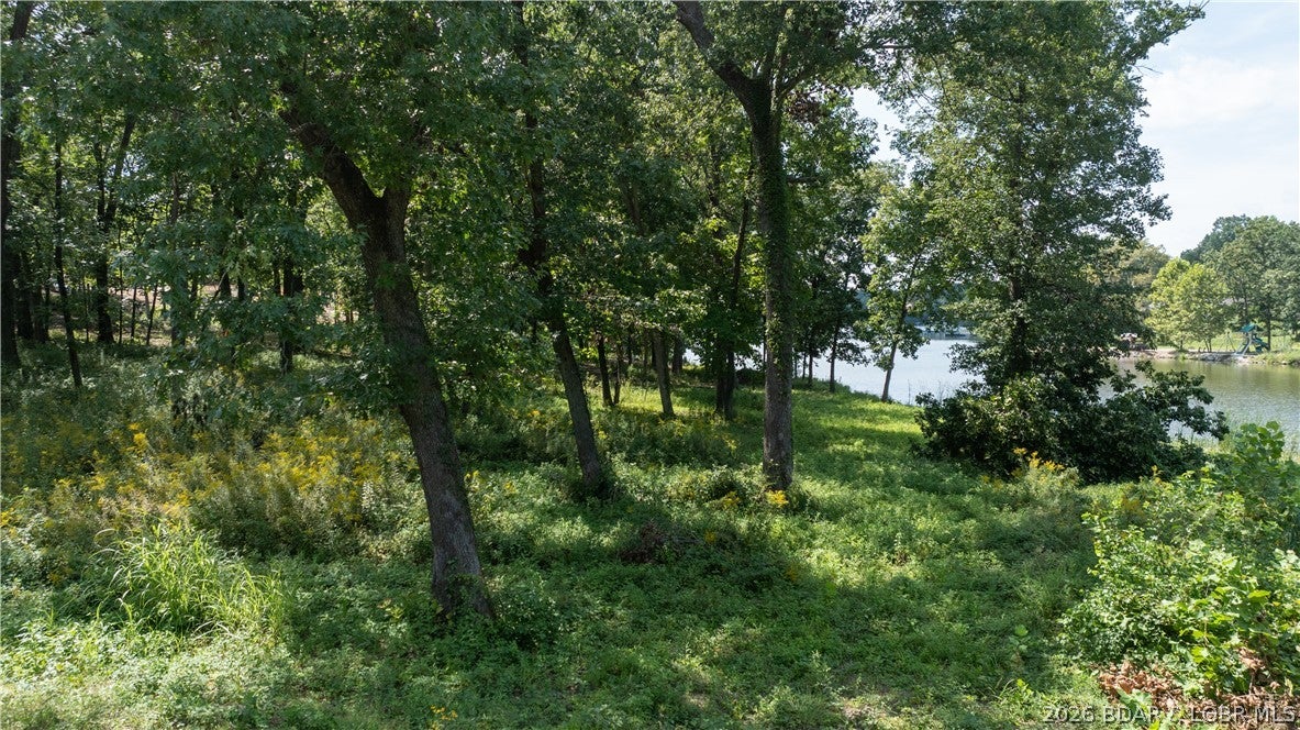 Out of Area - Land