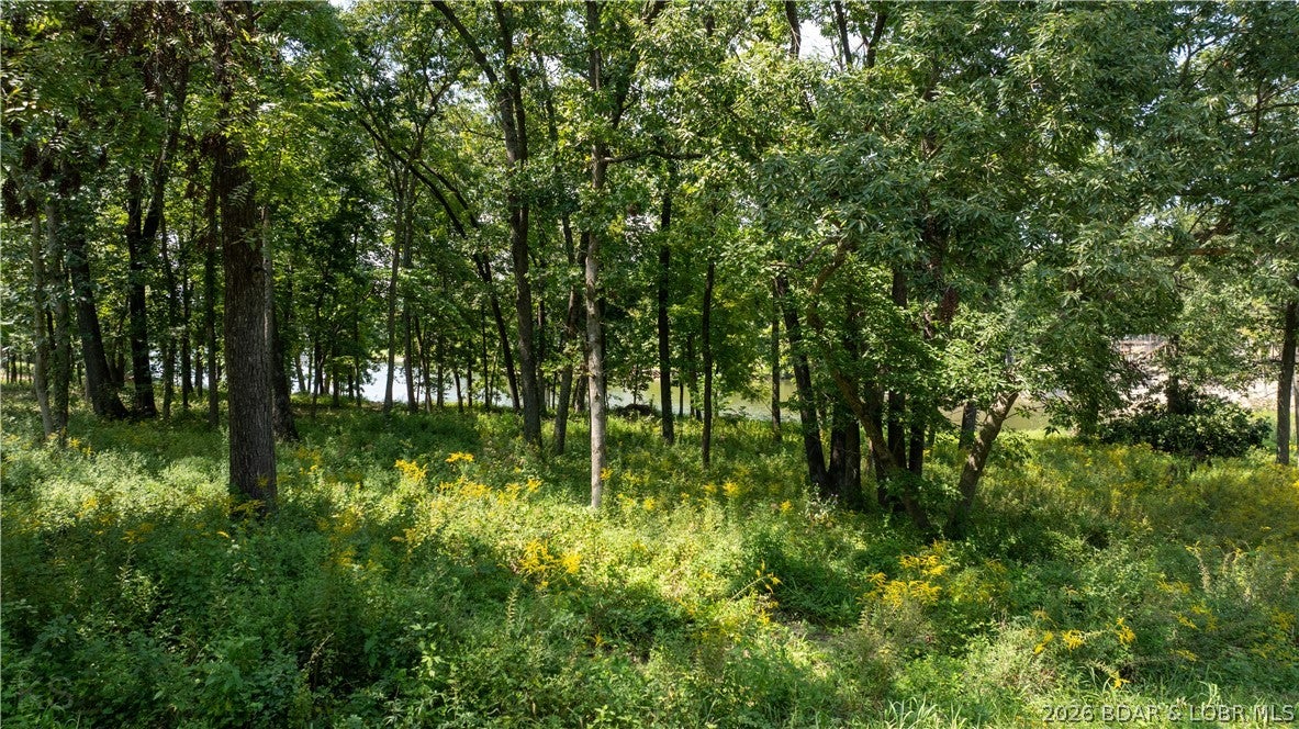 Out of Area - Land