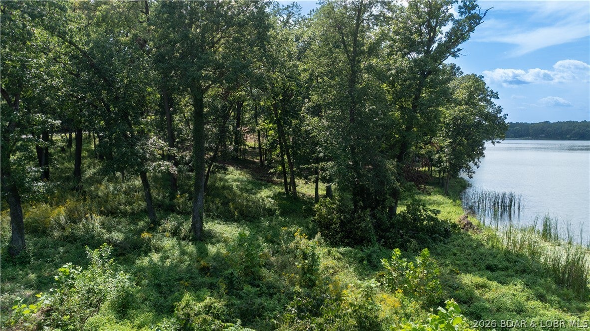 Out of Area - Land