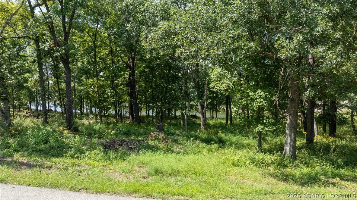 Out of Area - Land