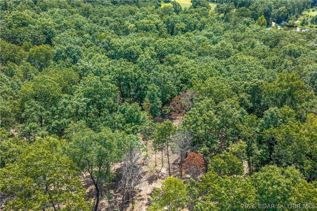 Out of Area - Land