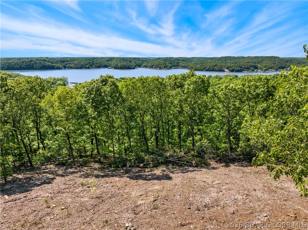 Perched above the Lake of the Ozarks with impressive views and a setting that feels truly special, this 11.31± acre tract on Wilson Bend Road offers a standout opportunity for a private homesite, lake-area retreat, or thoughtfully designed getaway. Recently cleared to better reveal the full potential of the property, the land now showcases a remarkable elevated building area with sweeping lake views and room to position a home to take full advantage of the scenery. Nearby electric and fiber internet makes building a breeze. The acreage provides a great blend of usable open space, mature timber, privacy, and the natural beauty that makes this stretch of the Lake so appealing. Located in the Wilson Bend area near the 52-mile marker, the property offers a peaceful rural feel while remaining within reach of lake conveniences, area attractions, and nearby Gravois Fire Protection District Station #3. Whether you are ready to build now or secure a quality lake-view acreage parcel for the future, this is a compelling piece of ground.