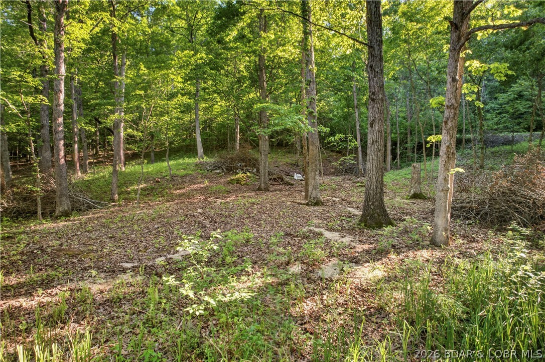 Fanny Jarvis Acres - Land