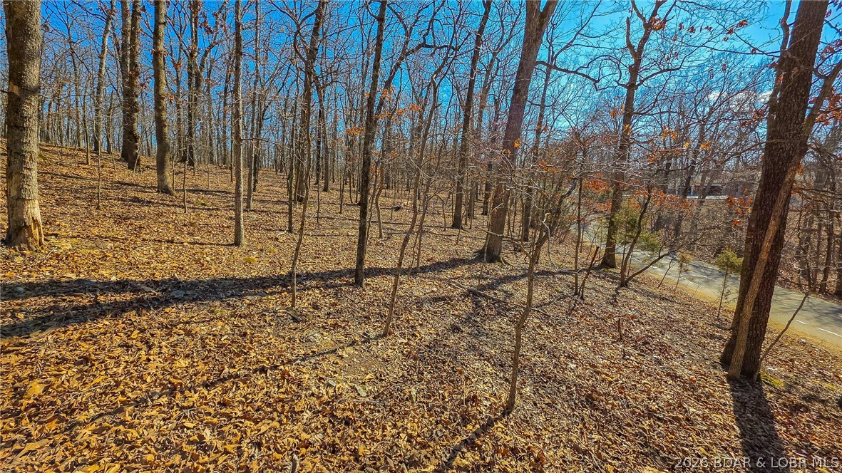 Eagles Cove - Land