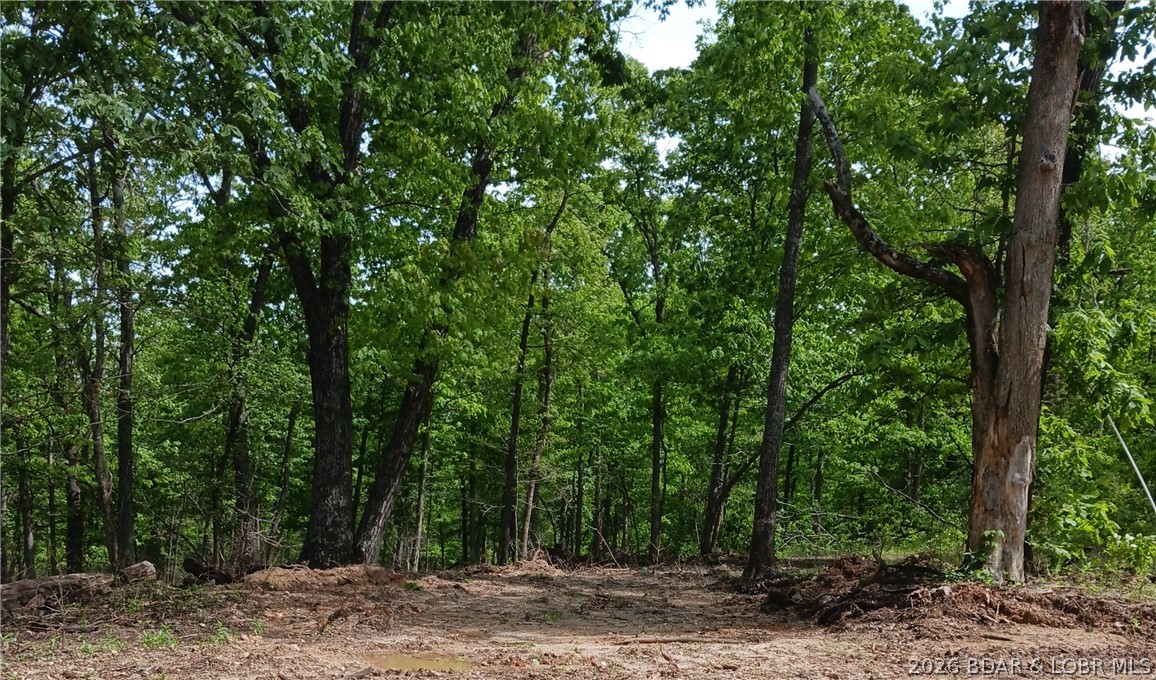 If you are looking for seclusion and serenity on an attractive 6.99 acres good for hunting, camping, or building a home, look no more and come see this wooded tract of land located only minutes from the 54,000-acre Lake of the Ozarks and just up the road from the Frank E. Carpenter Memorial Conservation area. Bring your hiking shoes and boots, as this property is great for hiking, nature walks and four-wheeling. It is also abundant with white-tailed deer and turkey that roam freely, and it is only a short drive from the blacktop Hwy. T in Stover. High-speed fiber-optic internet is available and electricity is nearby! It also comes with a survey recently performed by the seller. Come take a look and make an offer!
