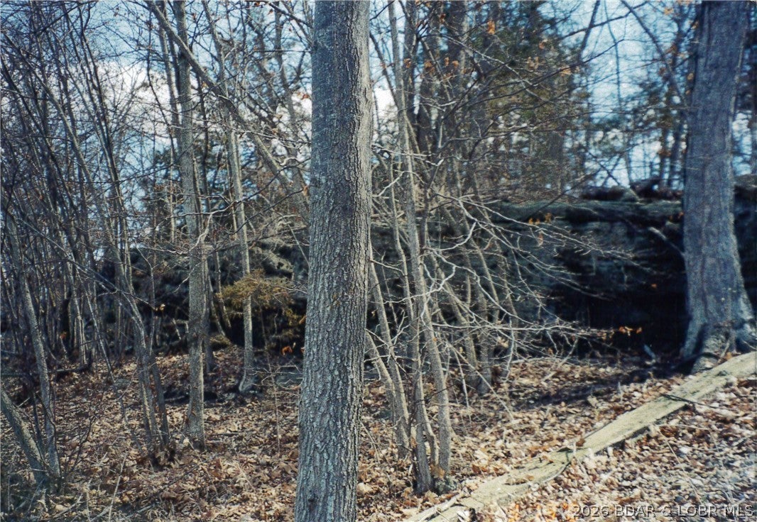 Gibson Point - Land