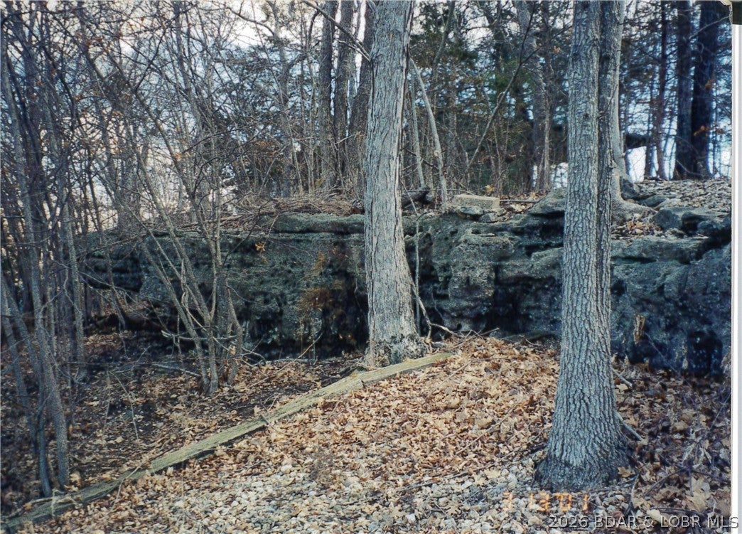 Gibson Point - Land