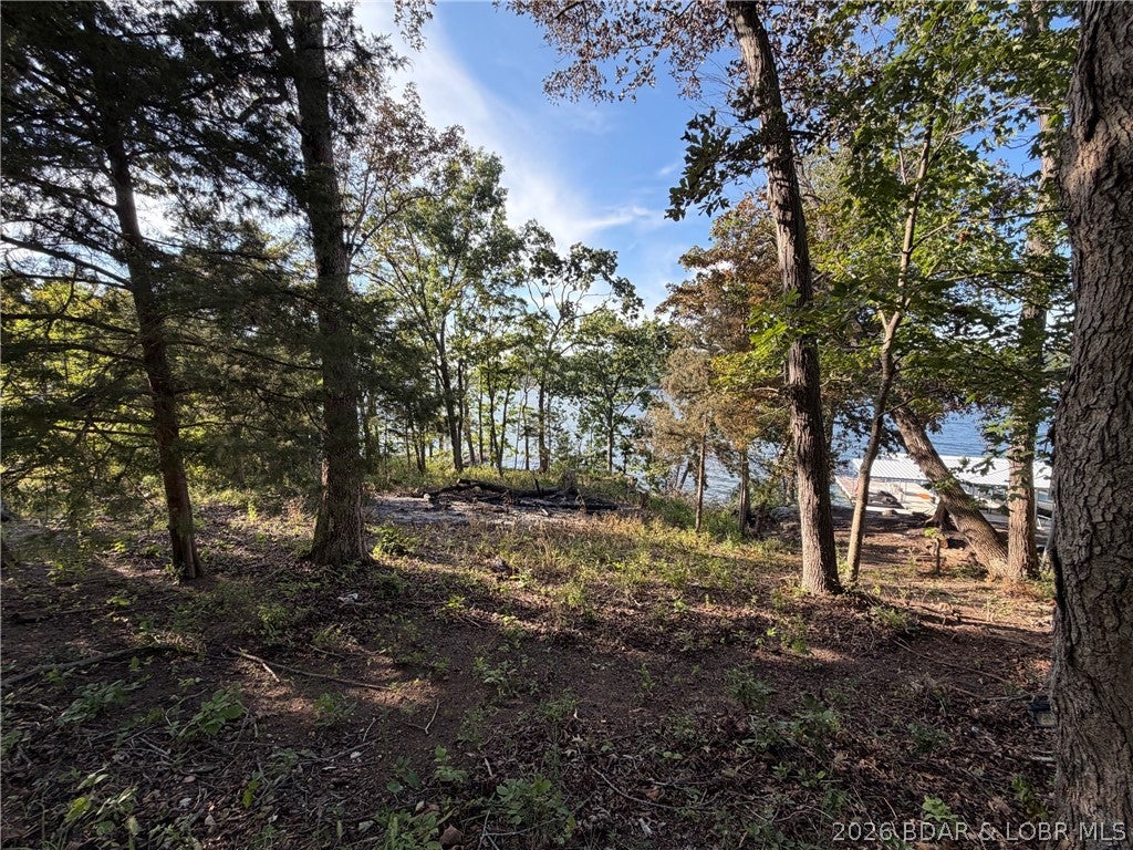 Gibson Point - Land