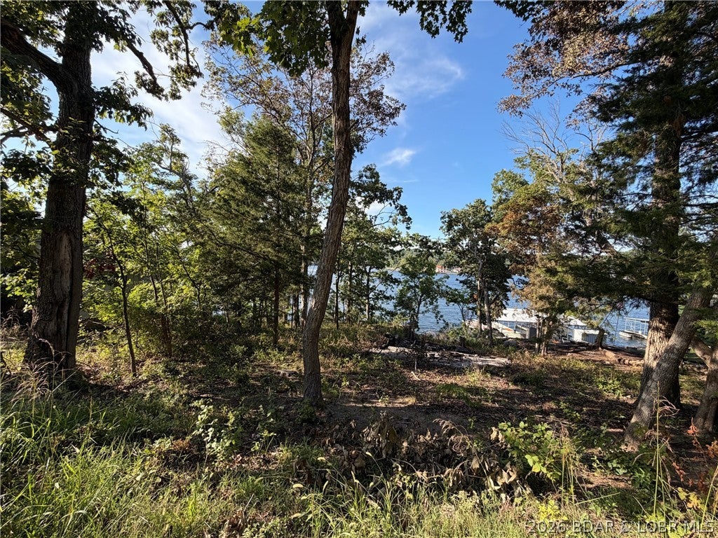 Gibson Point - Land