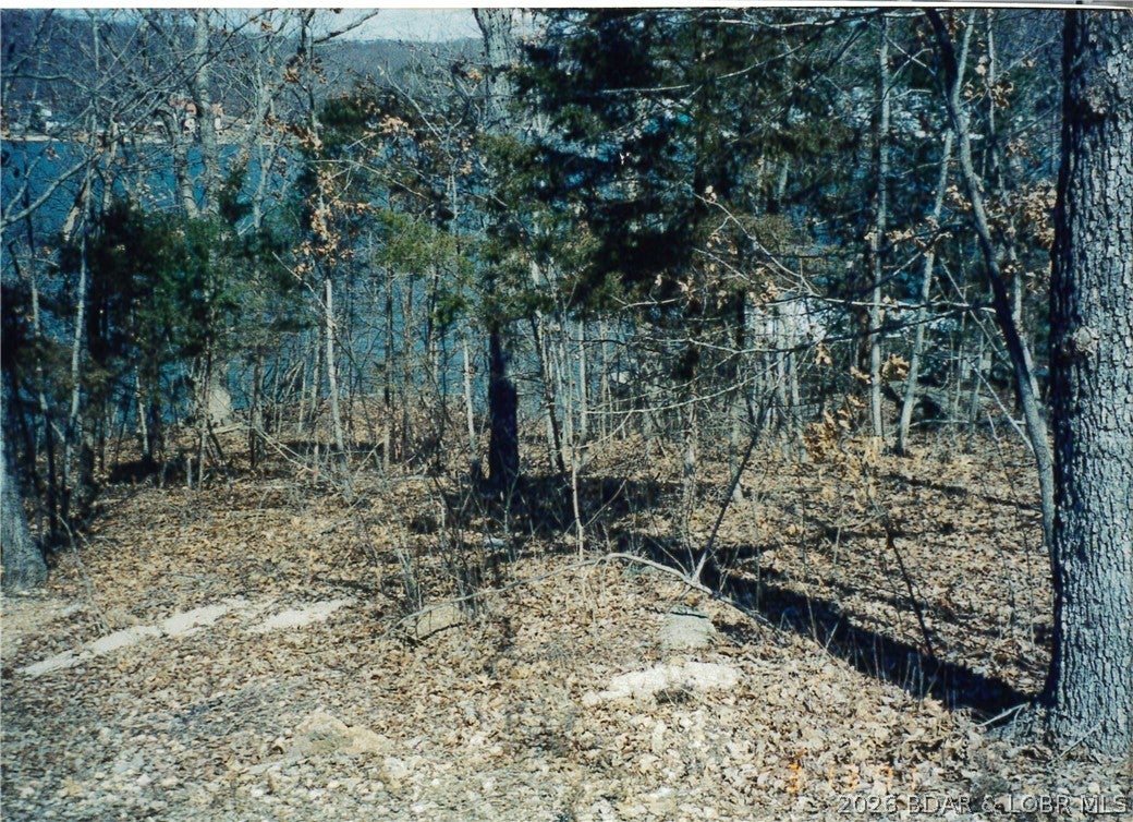 Gibson Point - Land