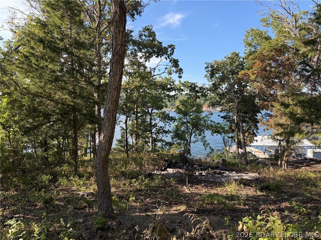 Gibson Point - Land
