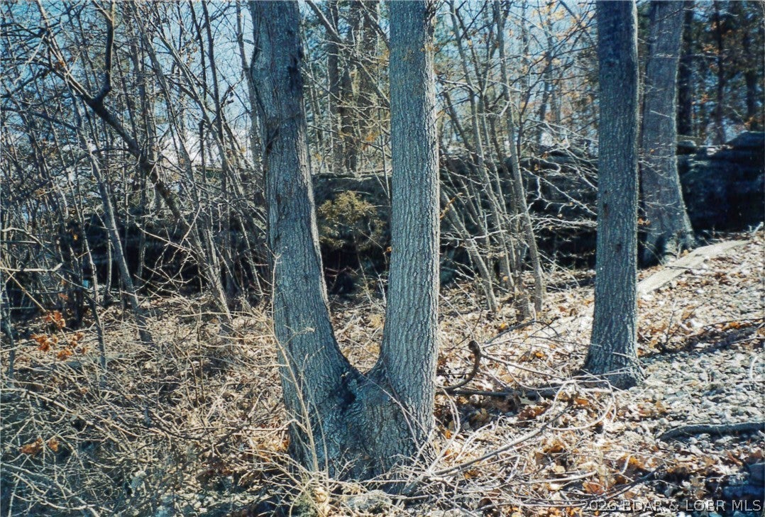 Gibson Point - Land