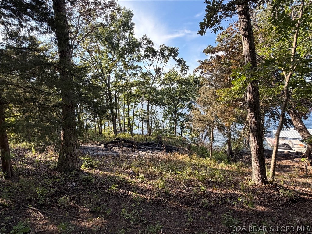 Gibson Point - Land