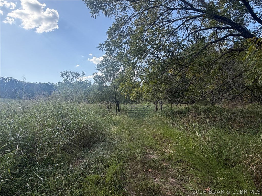 73.43 ACRES ready for YOUR VISION!  If you’ve been looking for acreage with privacy, hunting potential, & plenty of possibilities, this property deserves a look! Offering a great mix of mature timber & open areas ready to be reclaimed or improved, this land gives you the opportunity to make it your own. A wet-weather creek winds through the property, adding character & creating a natural wildlife corridor. Abundant timber & cover provide excellent habitat for deer & turkey, making this a great recreational or hunting property. Portions are fenced, & power lines run through the acreage, putting electric nearby for future development. With approximately 1,800 feet of road frontage, there is plenty of accessibility & potential. Whether you’re dreaming of a home or shouse, private weekend getaway, or hunting cabin tucked back in the timber, the possibilities are endless.
Located close to the Lake of the Ozarks, enjoy the privacy & space of 73+ acres while still being near everything the lake area has to offer. Bring your plans, hunting gear, & vision — timber, open ground, creek, road frontage, nearby electric & room to make it yours!