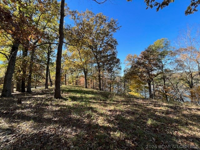 Timber Ridge - Land