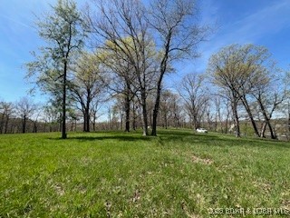Timber Ridge - Land