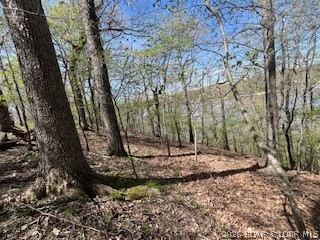 Timber Ridge - Land