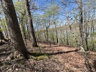 Timber Ridge - Land