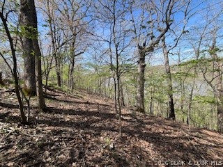 Timber Ridge - Land