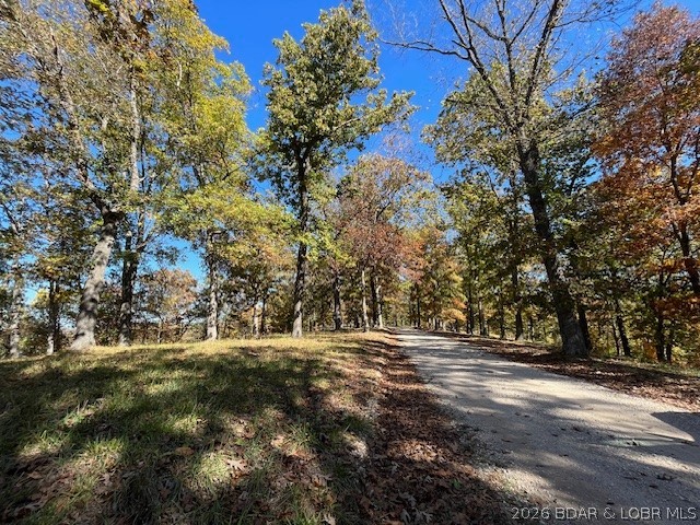 Timber Ridge - Land