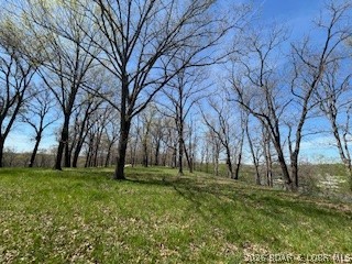 Timber Ridge - Land