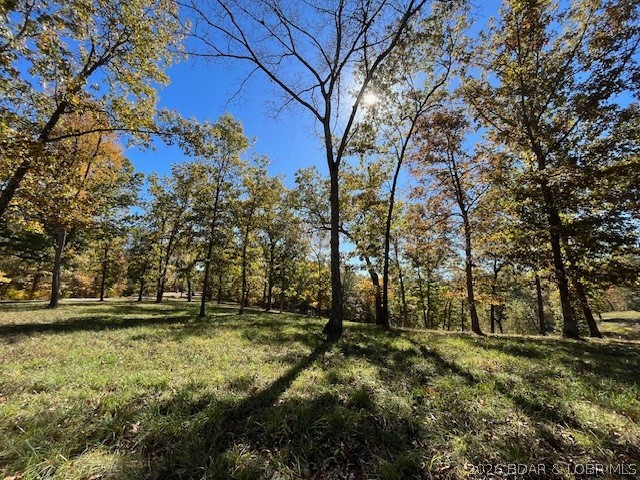 Timber Ridge - Land