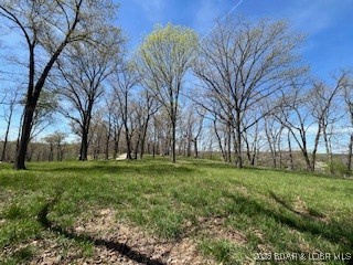 Timber Ridge - Land