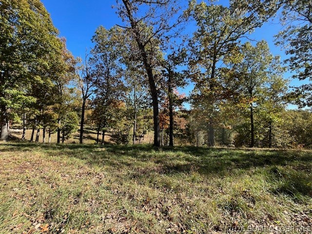 Timber Ridge - Land