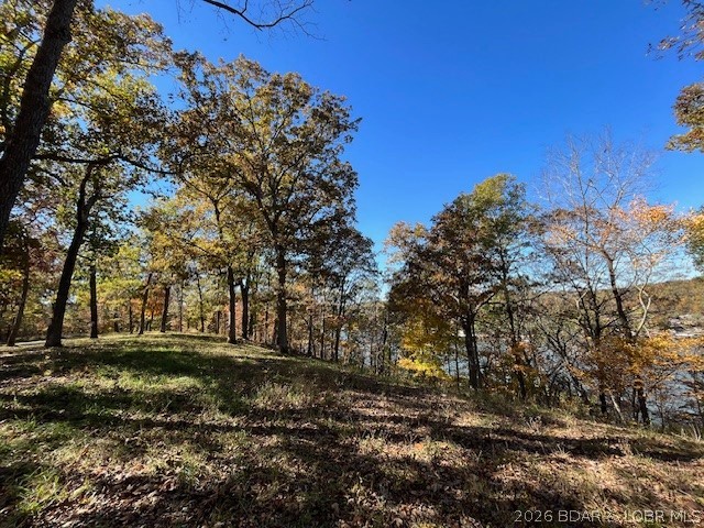Timber Ridge - Land