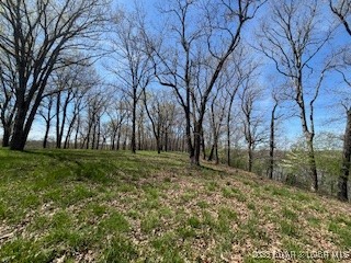 Timber Ridge - Land