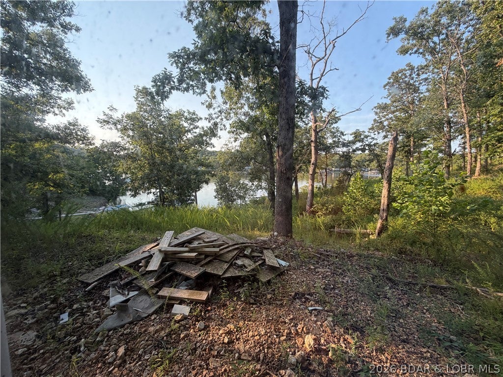 Jumping Bass Cove #2 - Residential