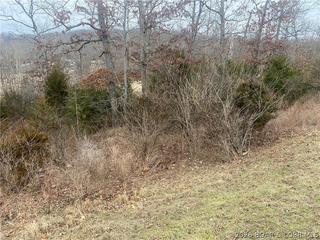 Country Club Cove - Land