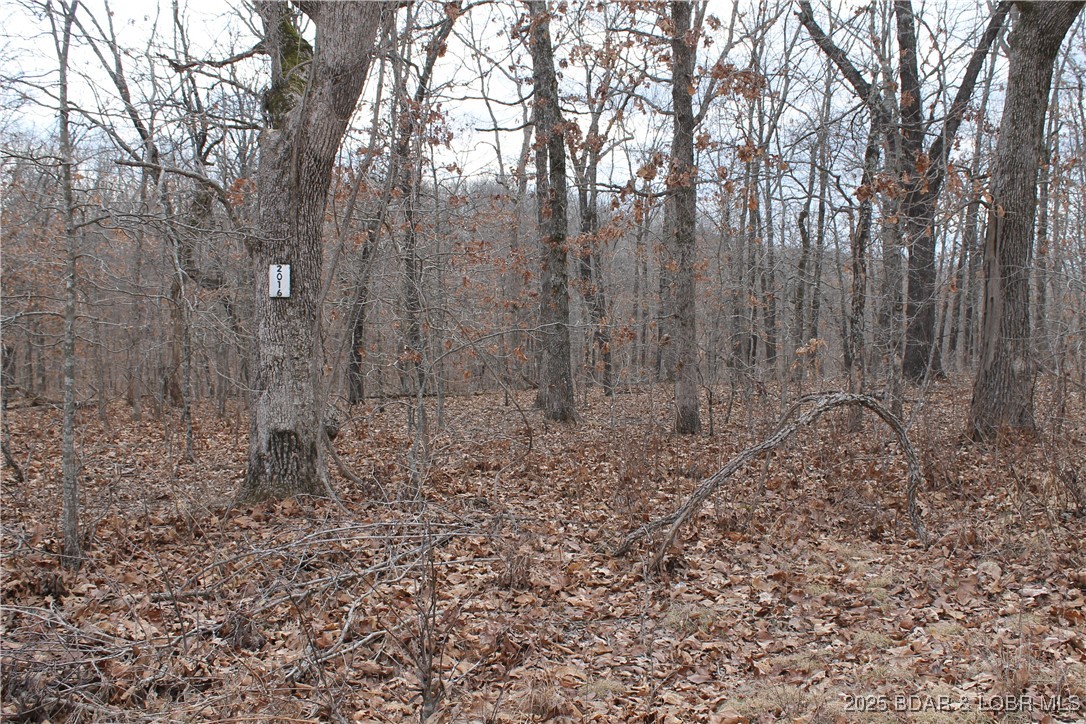 Build your dream home or weekend getaway on this perfect-sized lot in the peaceful, gated Forbes Lake of the Ozarks Park. Enjoy abundant wildlife and top amenities including 3 interior lakes, 3 boat ramps, tennis courts, RV park, and more. Conveniently located just 30 minutes to Warsaw and just over 2 hours from Kansas City. Don’t miss this one!