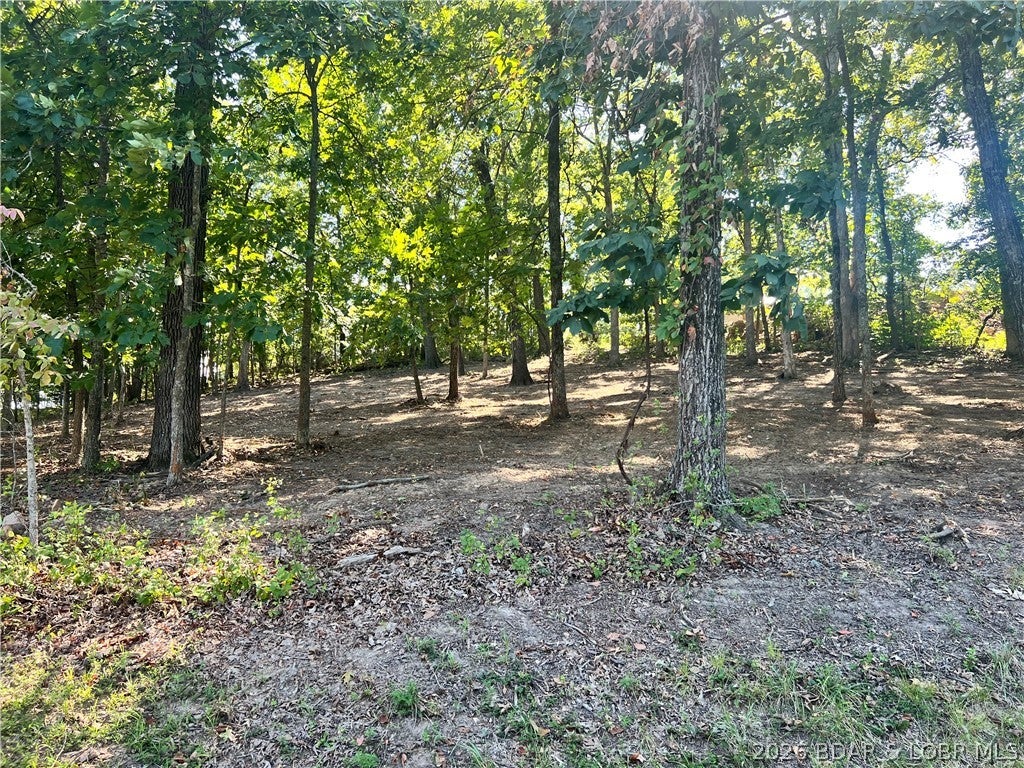 Seasons Ridge - Land