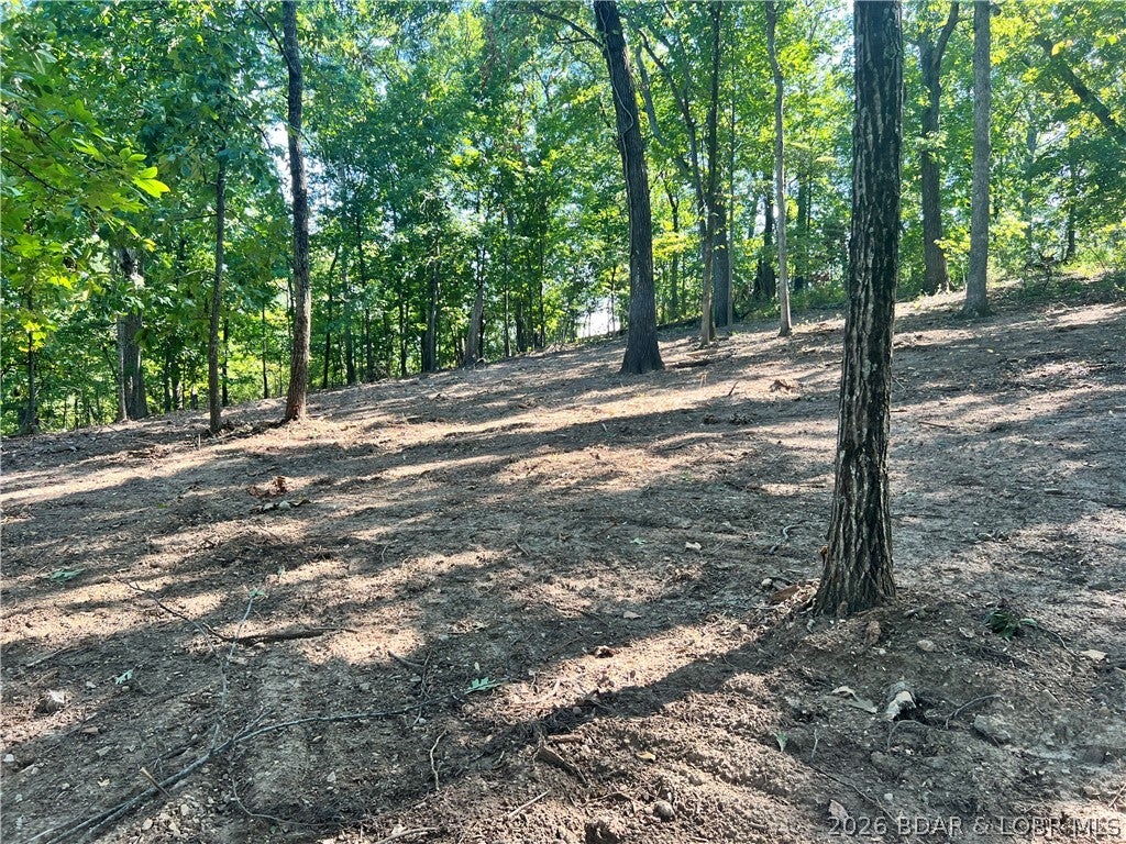 Seasons Ridge - Land
