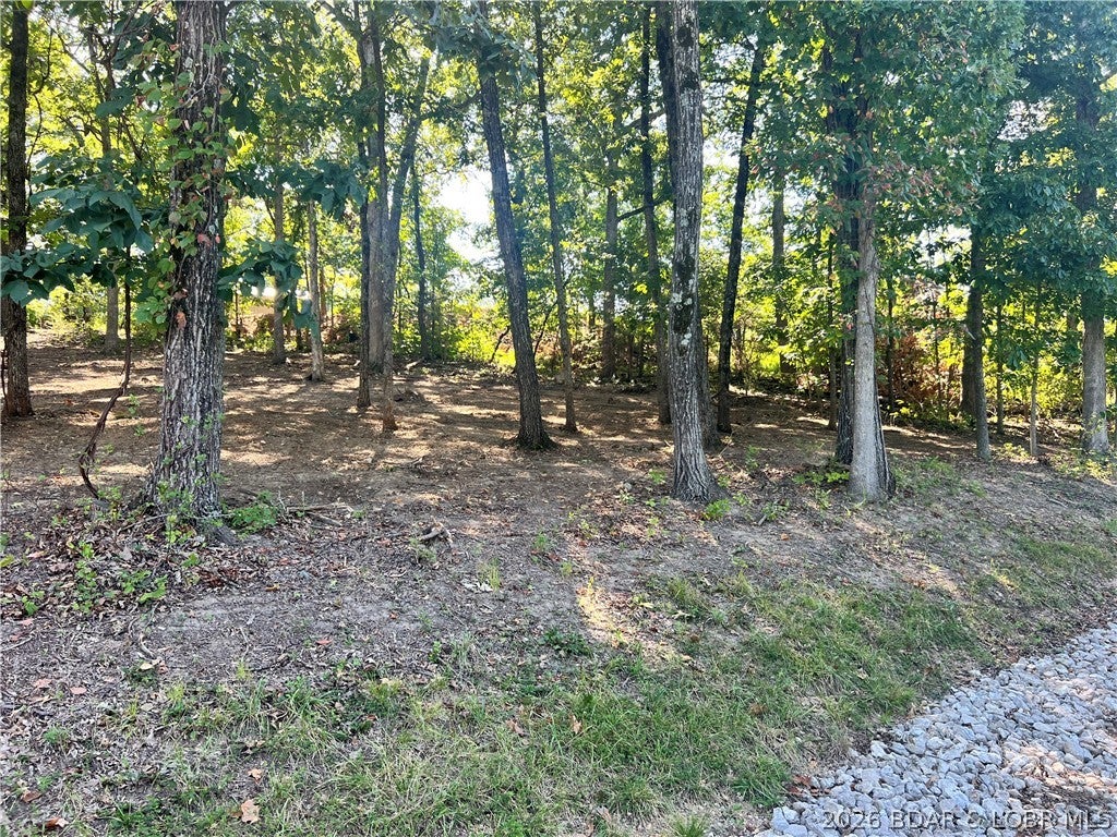 Seasons Ridge - Land