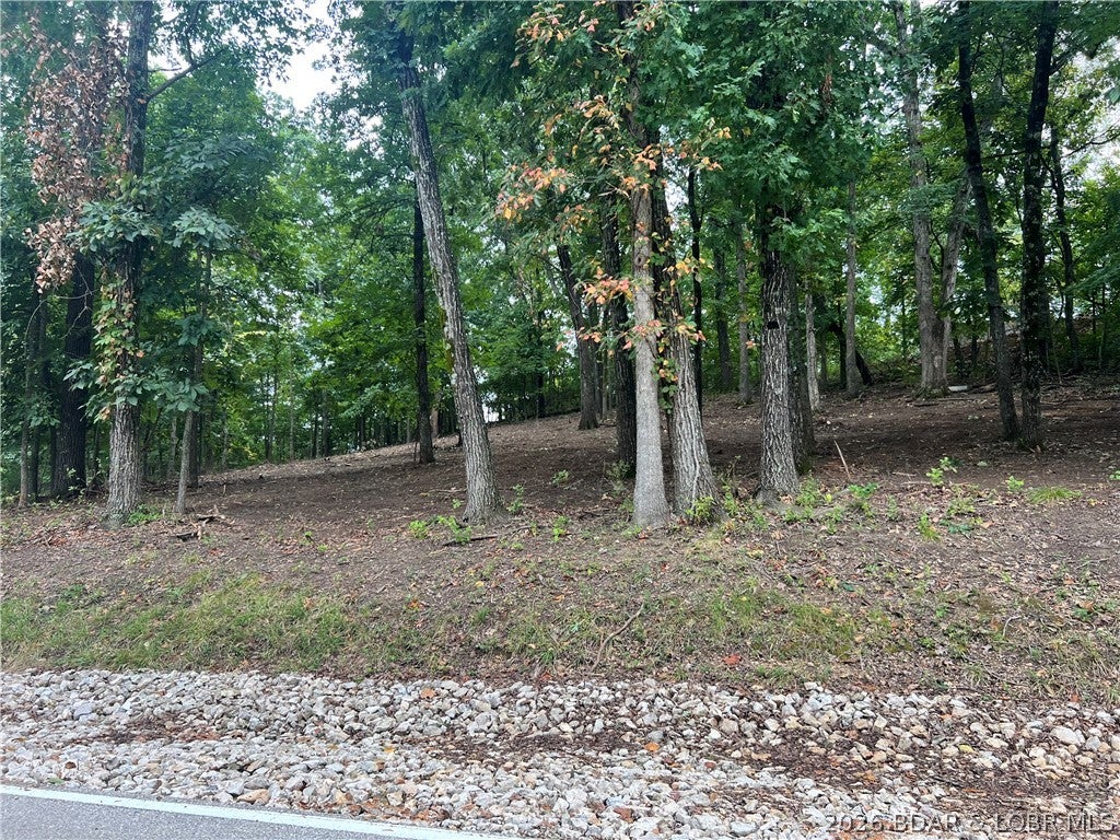 Seasons Ridge - Land