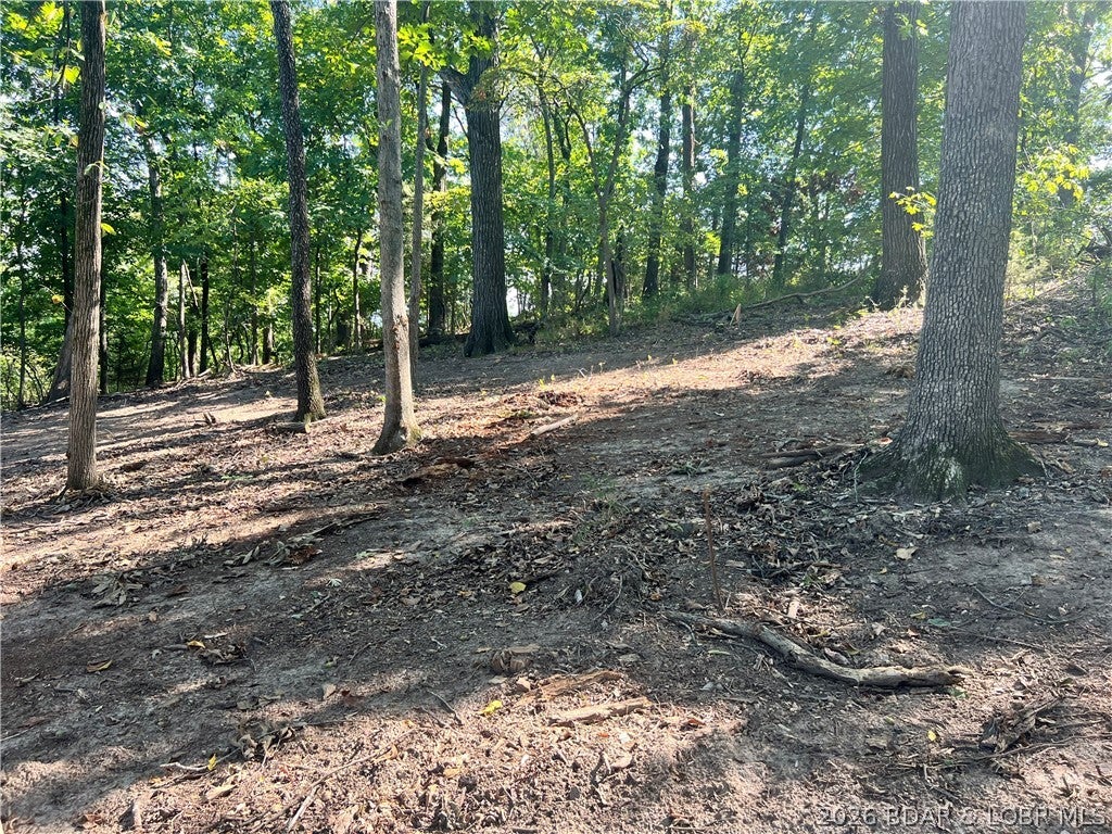 Seasons Ridge - Land