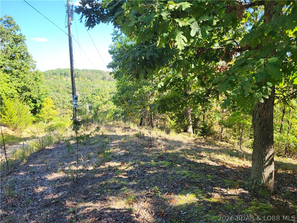 3.28 beautifully wooded acres, ready for your future home or RV and Only minutes from the Lake of the Ozarks fun and recreation -- A cleared site is already in place with electric pole and septic on site. Enjoy peace, privacy, and plenty of space to relax or explore with lake access just down the hill and around the corner just a short distance away. Where lifelong memories begin.