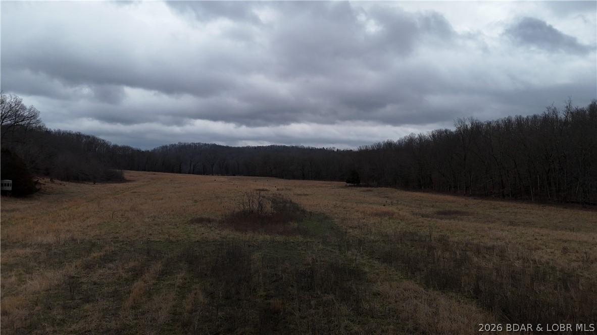 Out of Area - Land